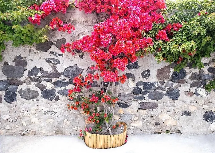 George & Joanna Santorini 公寓 *