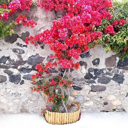 George & Joanna Santorini Apartmán *